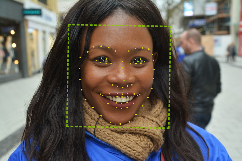 algorithm facial points