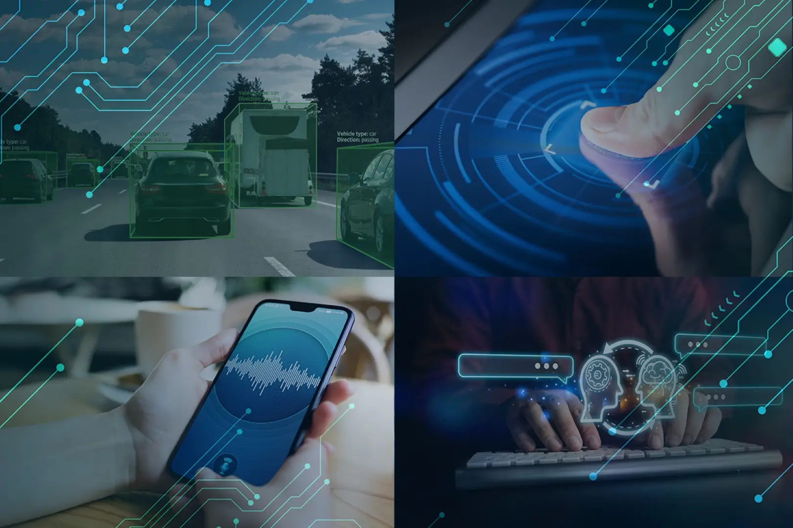 Applied AI Solutions & Custom Models - Skybiometry