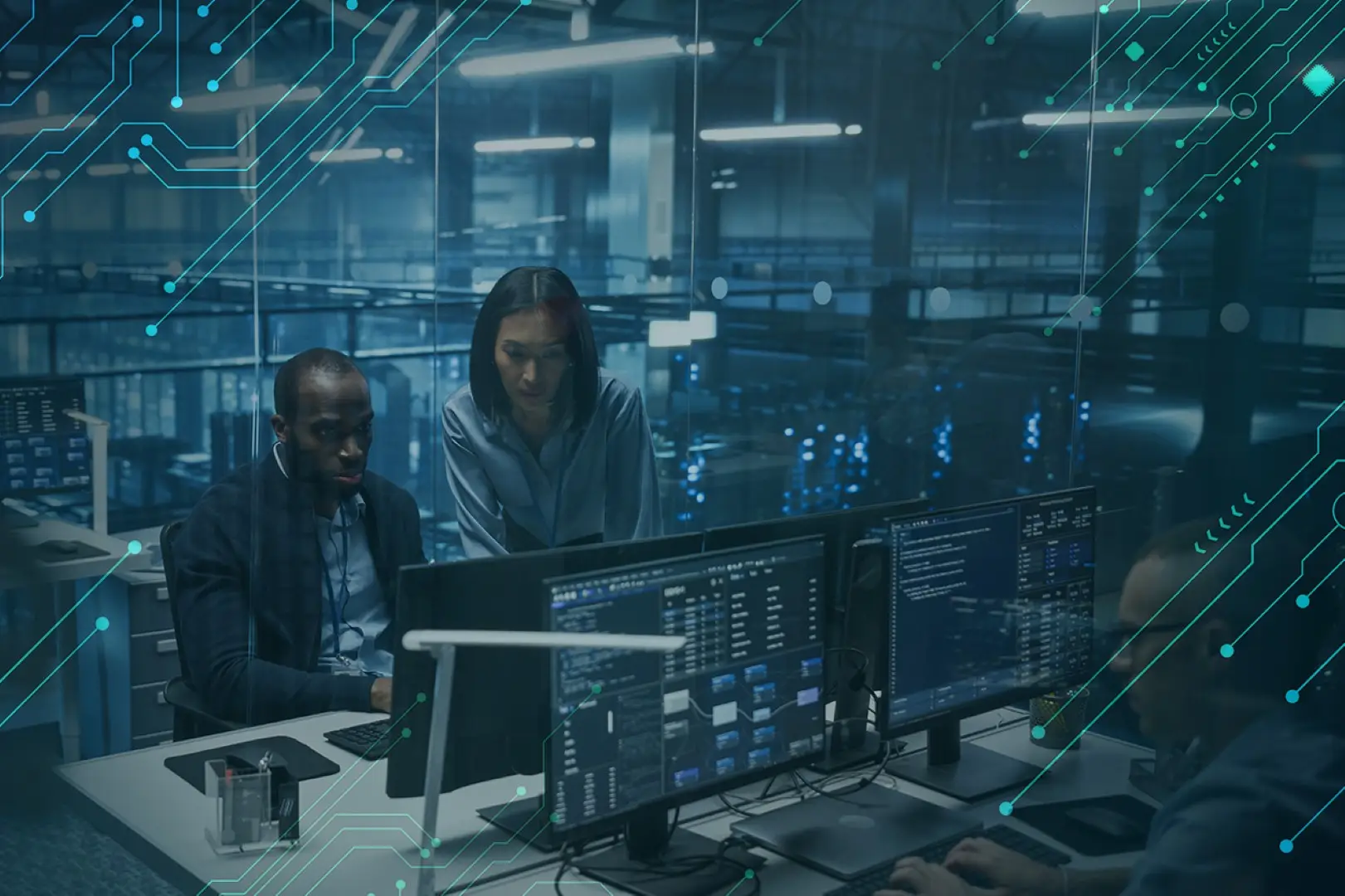 Applied AI Solutions & Custom Models - Skybiometry